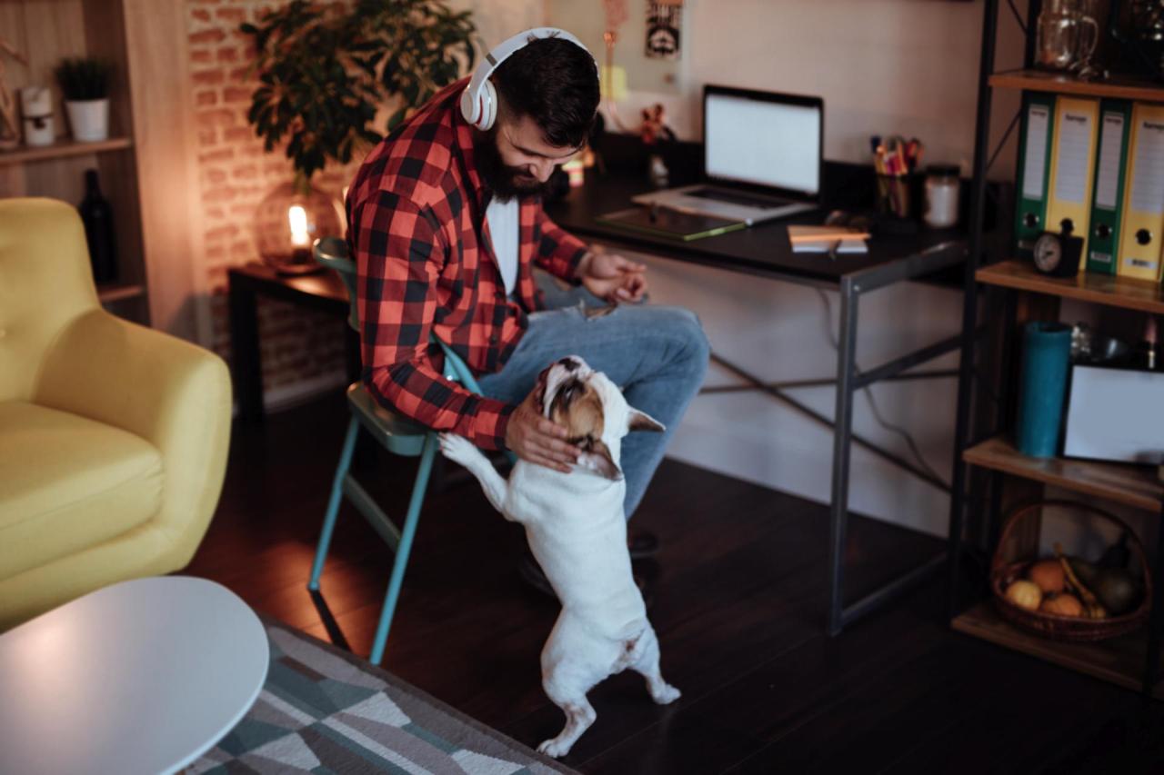 Person at computer with dog