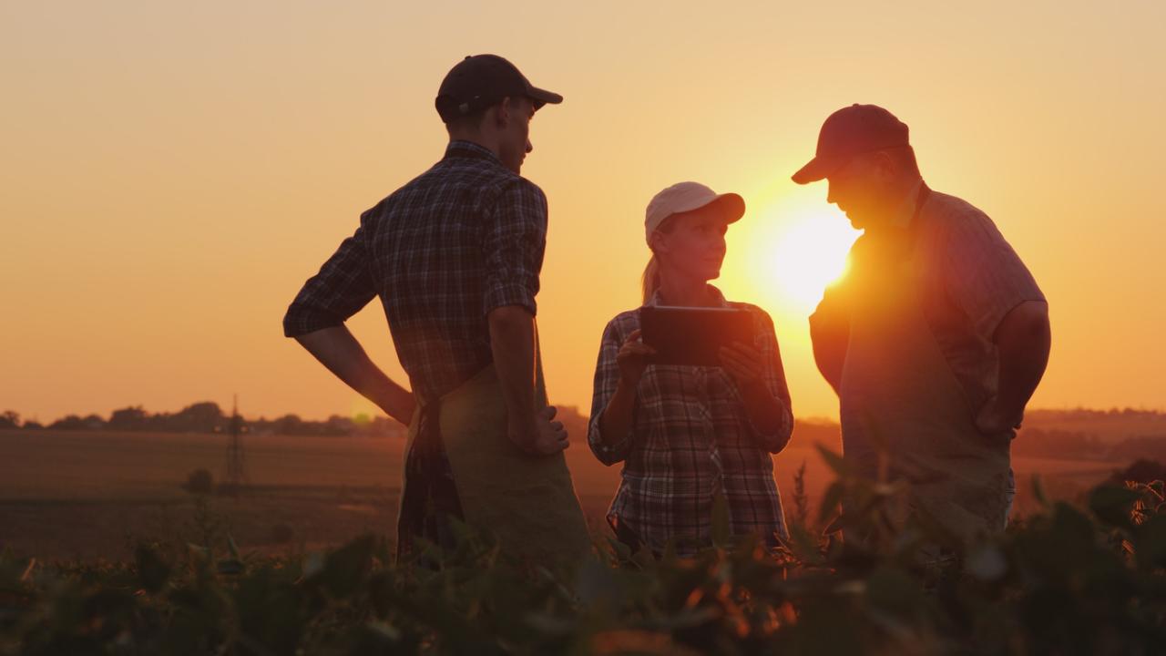 Woman and two men on farm at sunset