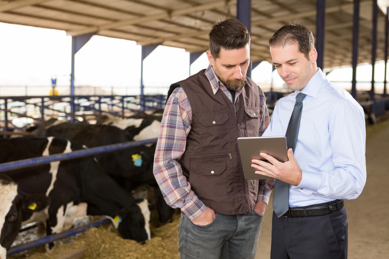 Men talking in barn